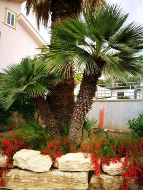 TIMPI RUSSI - LA PALMA